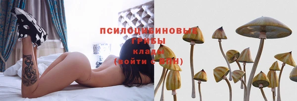 соль курить ск Алзамай